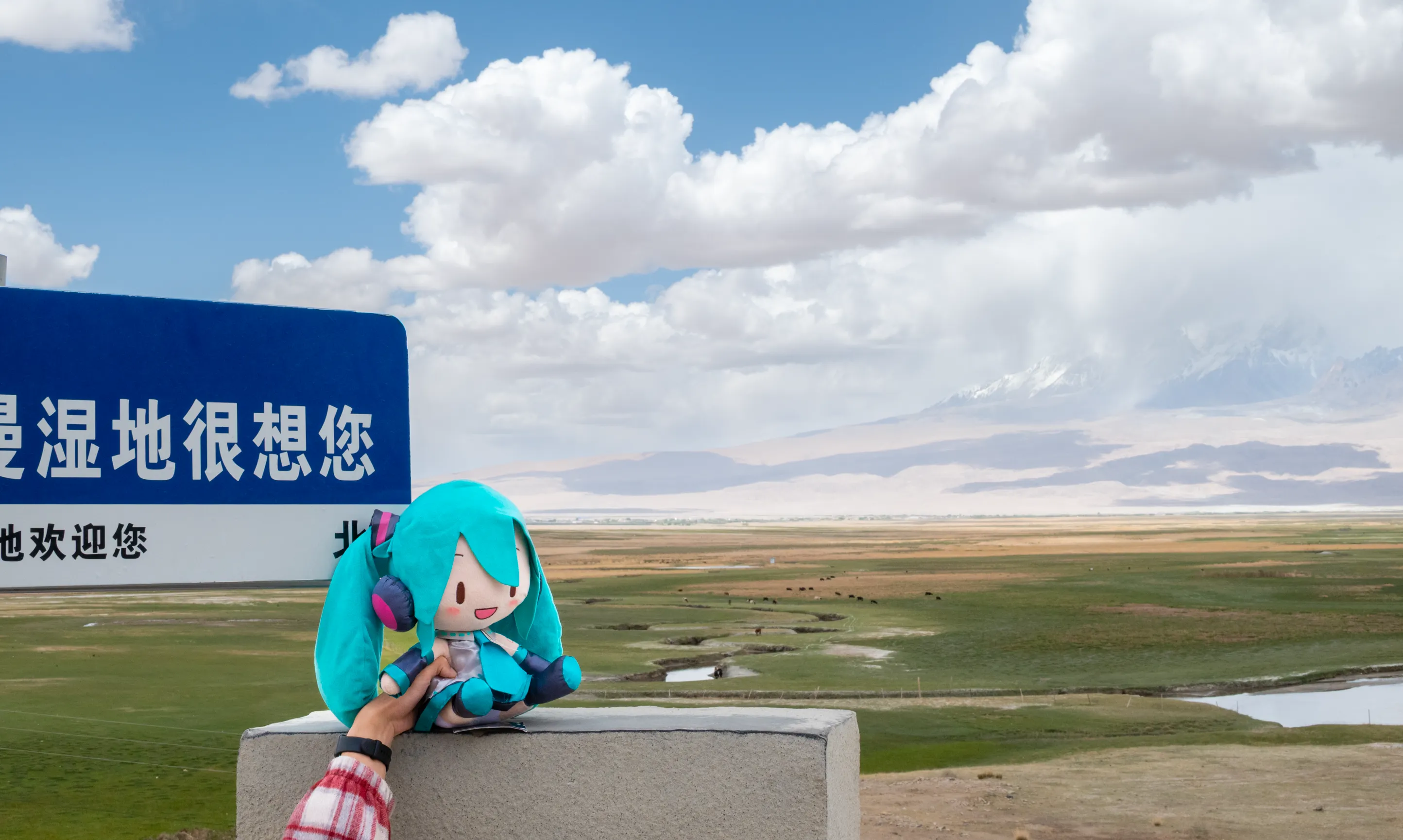 湿地